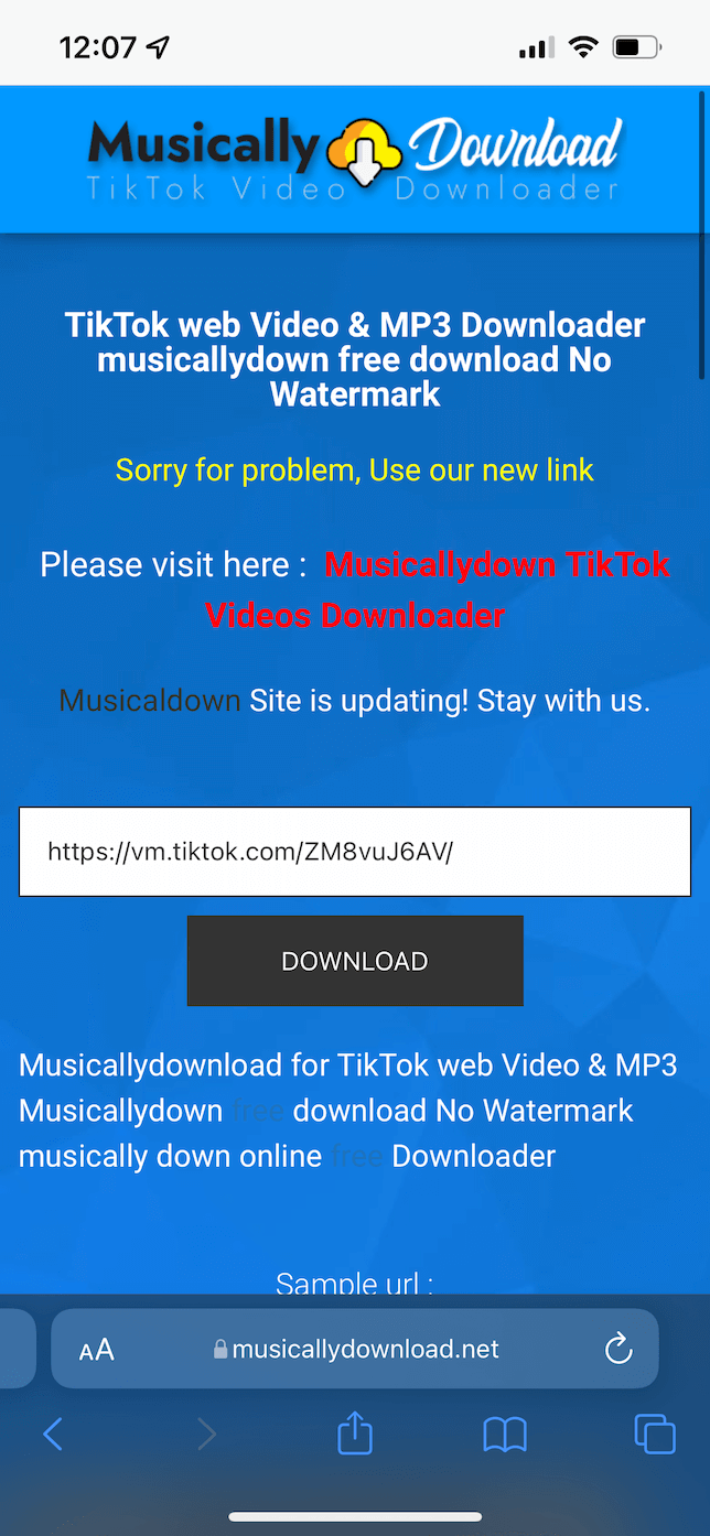 Captura de pantalla del sitio web MusicallyDownload.net.