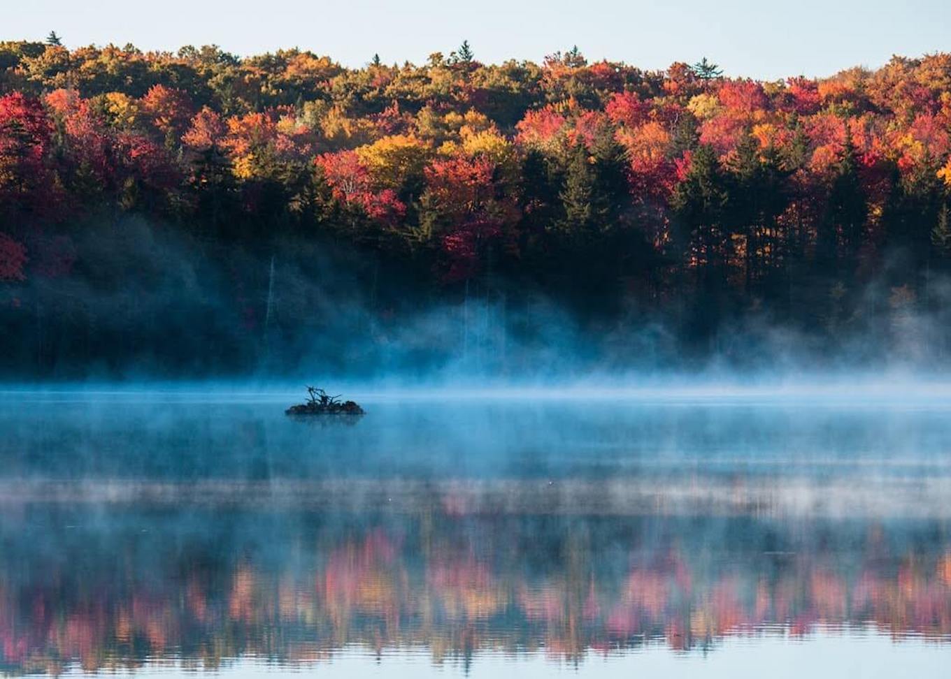 Una foto otoñal de hojas coloridas y niebla saliendo de un lago.