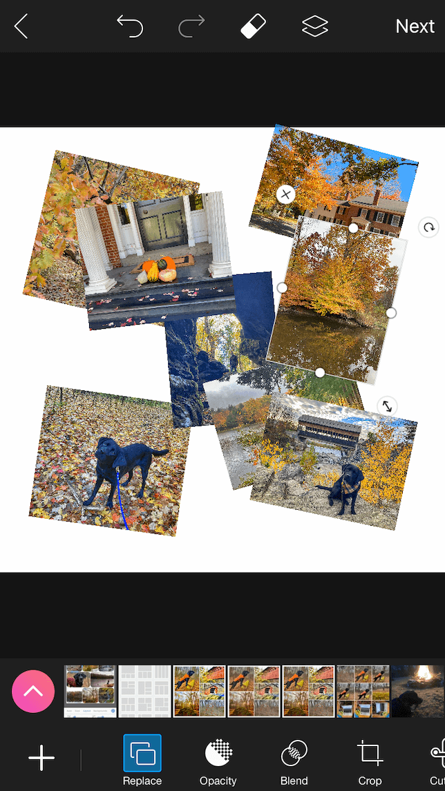 un collage de muestra usando Picsart Collage Maker