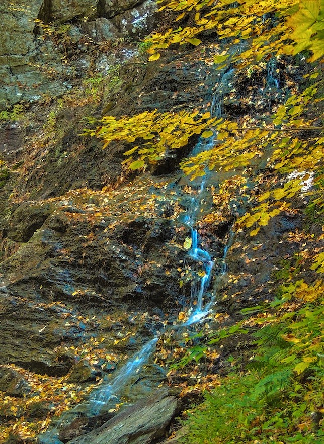Detalles de fotografía forestal de una cascada en el bosque de otoño.