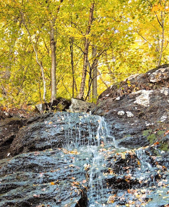 Una toma detallada de una cascada en el bosque.